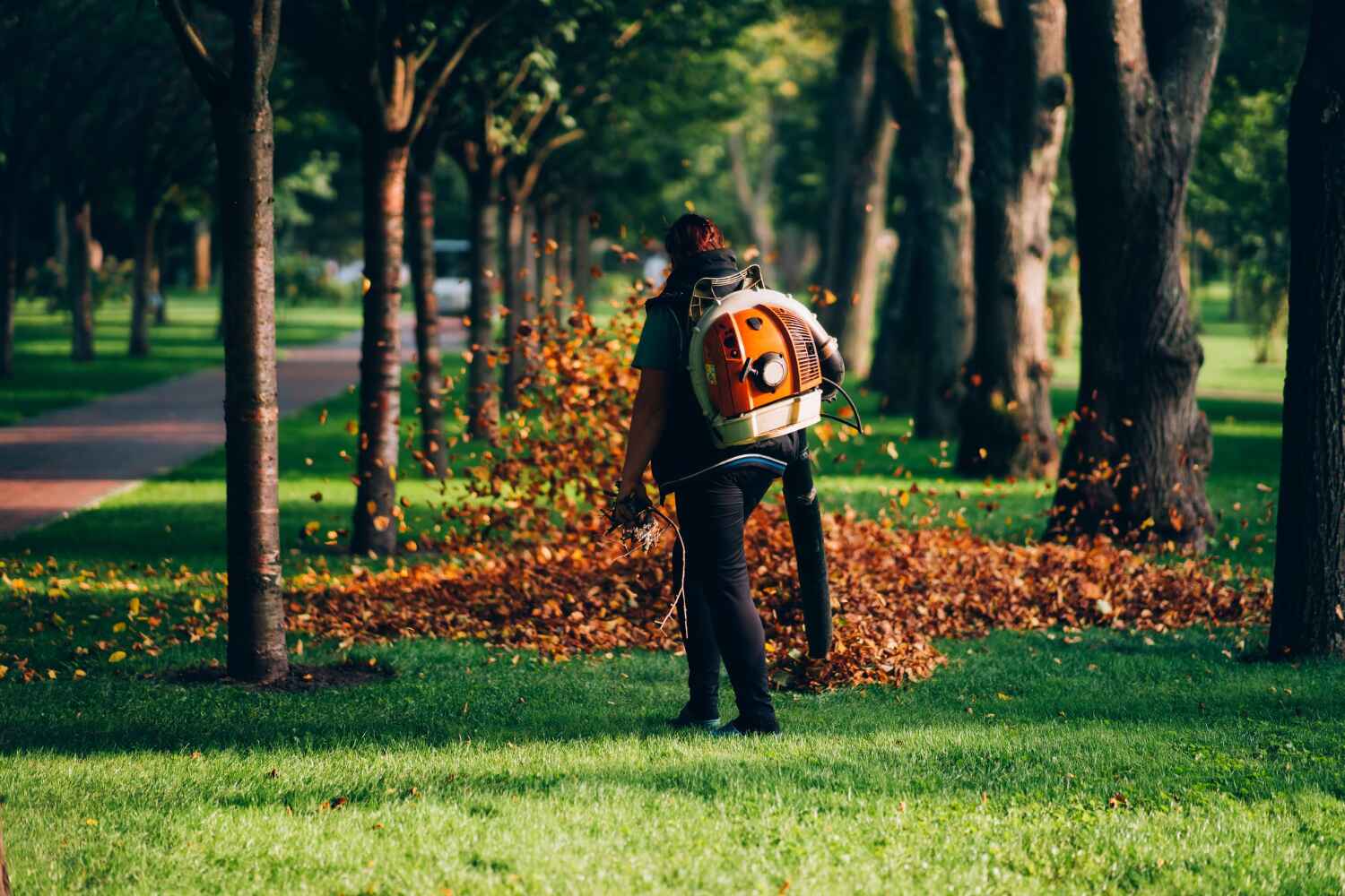 Best Local Tree Services  in Eagle Lake, FL